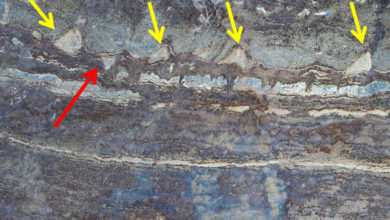 Photo of Ученые усомнились в биологическом происхождении древнейших окаменелостей