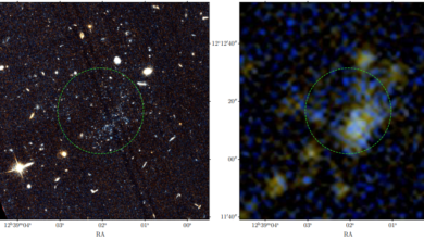 Photo of Образование голубых звездных систем объяснили удалением газа из массивных галактик в скоплениях
